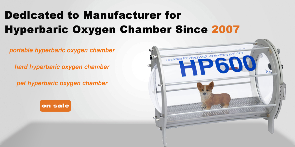 HP600 Veterinary Hyperbaric Oxygen Chamber for Animal Clinic