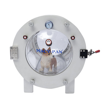 What You Need to Know About Pet Hyperbaric Oxygen Chamber