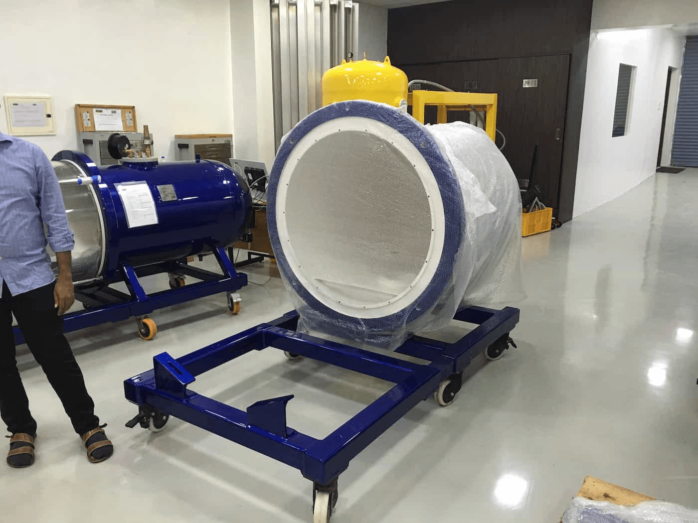 Veterinary Hyperbaric Oxygen Chamber: Learning the Basics