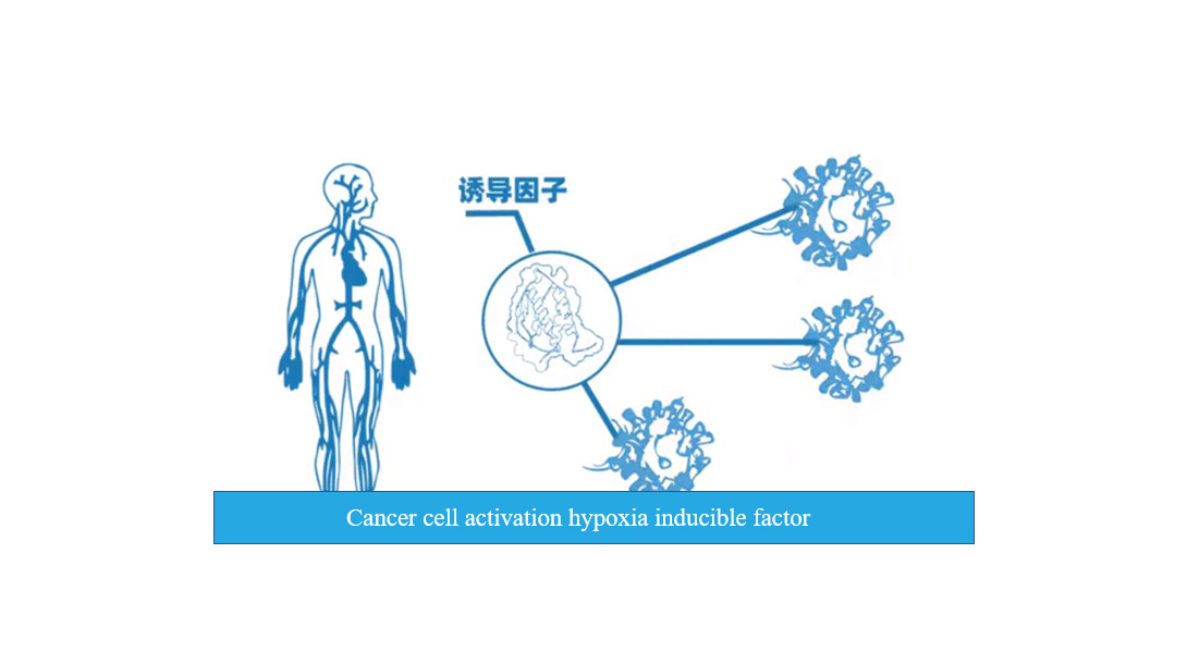 Cancer and Oxygen-11