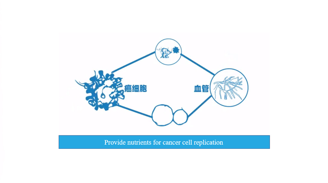 Cancer and Oxygen-14