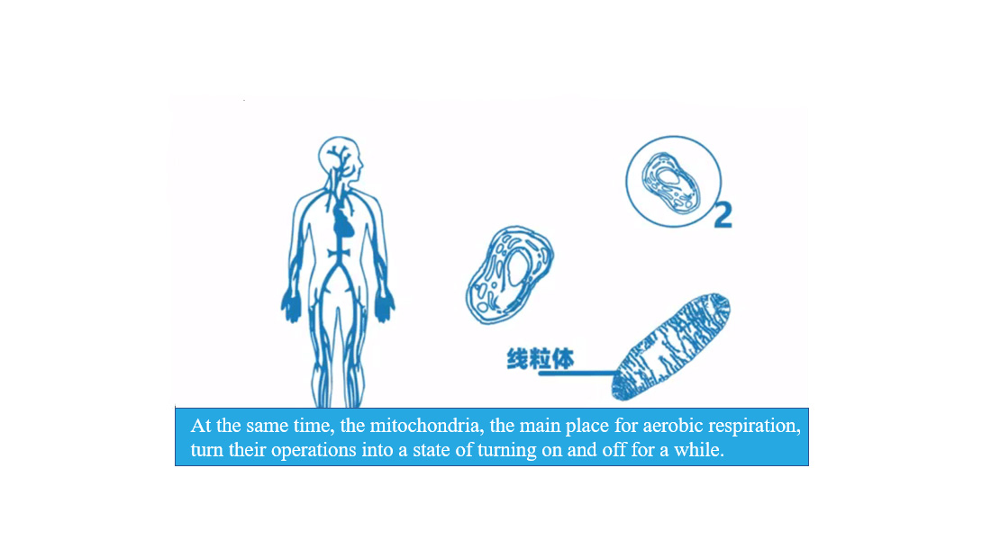 Cancer and Oxygen-3