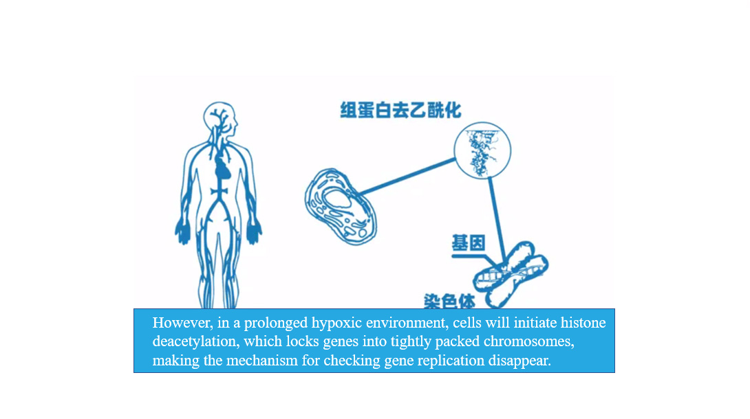 Cancer and Oxygen-9